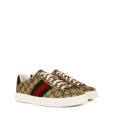 Men's Web Canvas Ace Trainers