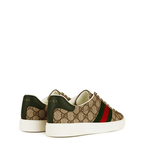 Men's Web Canvas Ace Trainers