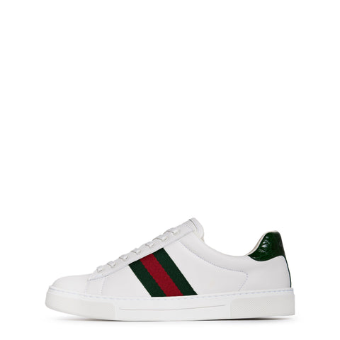 Women's Ace Web Canvas Trainers