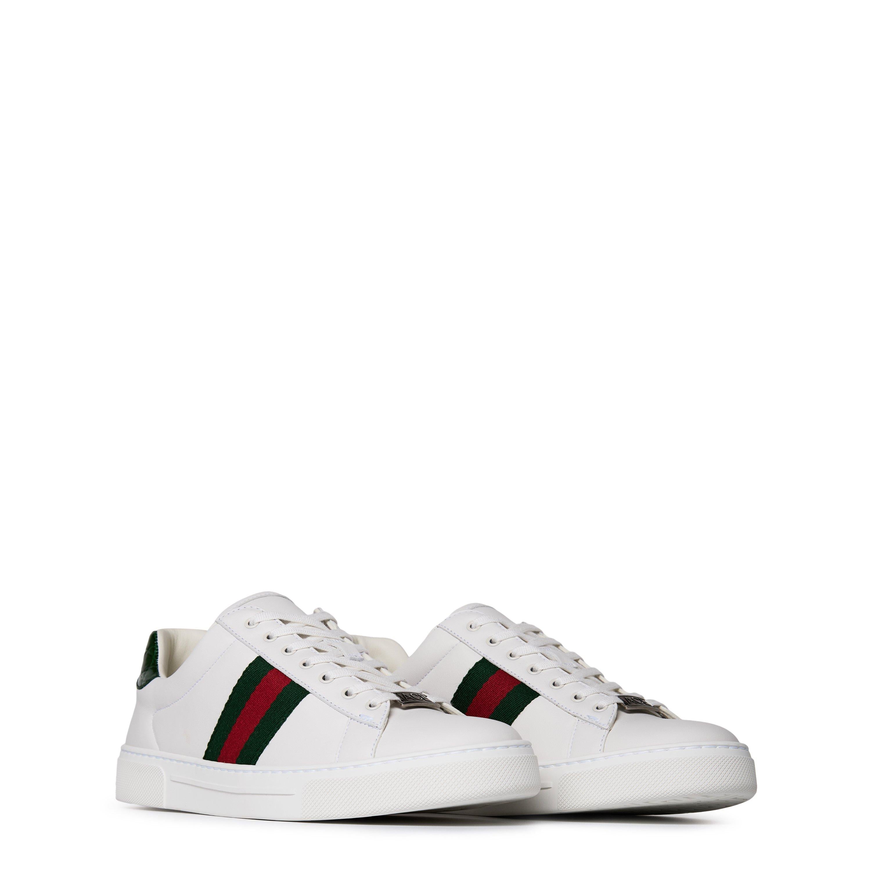 Women's Ace Web Canvas Trainers