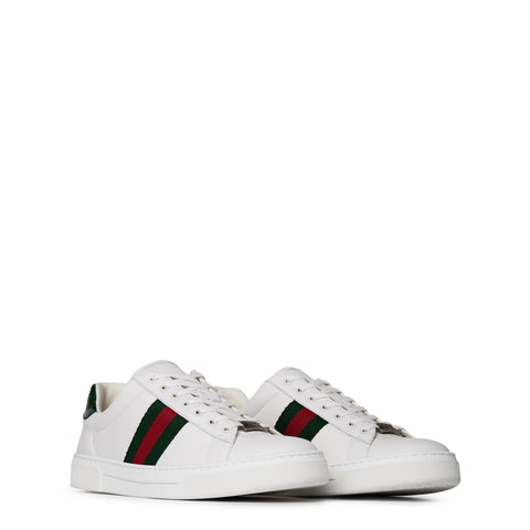 Women's Ace Web Canvas Trainers