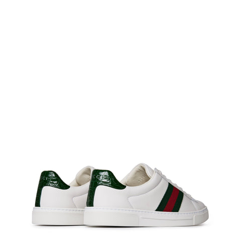 Women's Ace Web Canvas Trainers
