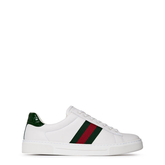Women's Ace Web Canvas Trainers