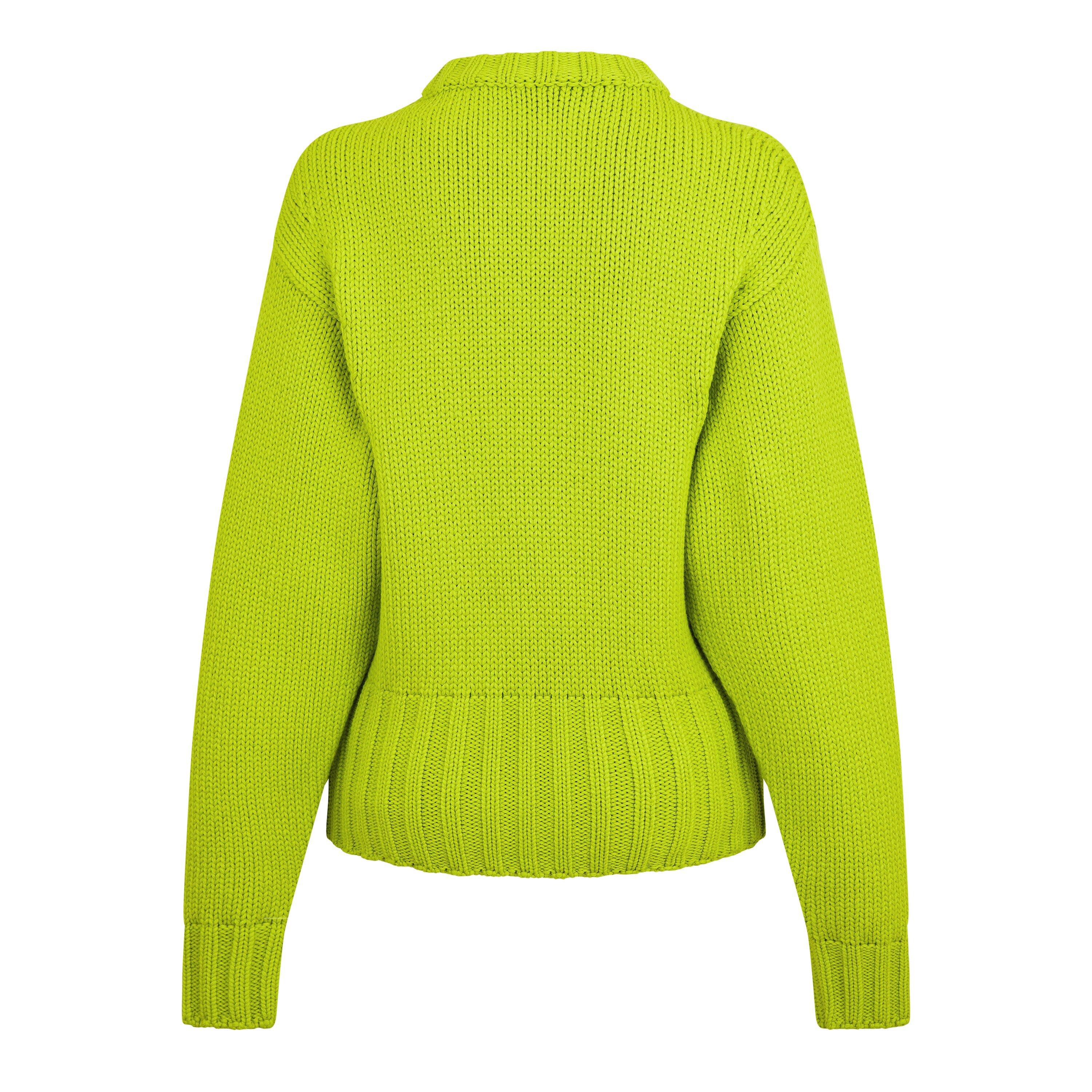 Alexander McQueen Crew Neck Jumper