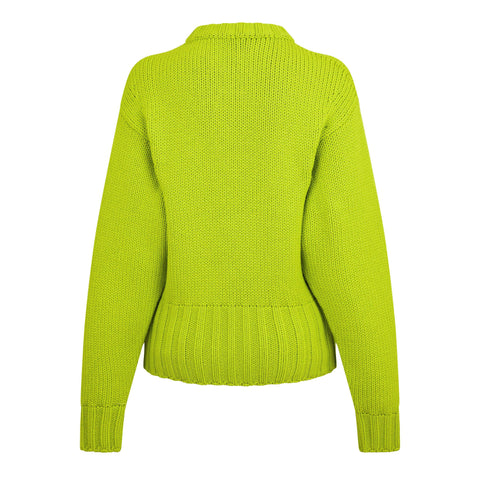 Alexander McQueen Crew Neck Jumper